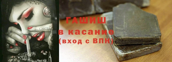 крисы Алексин